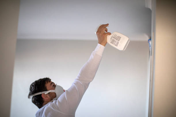Best Same-Day Mold Removal  in Vashon, WA